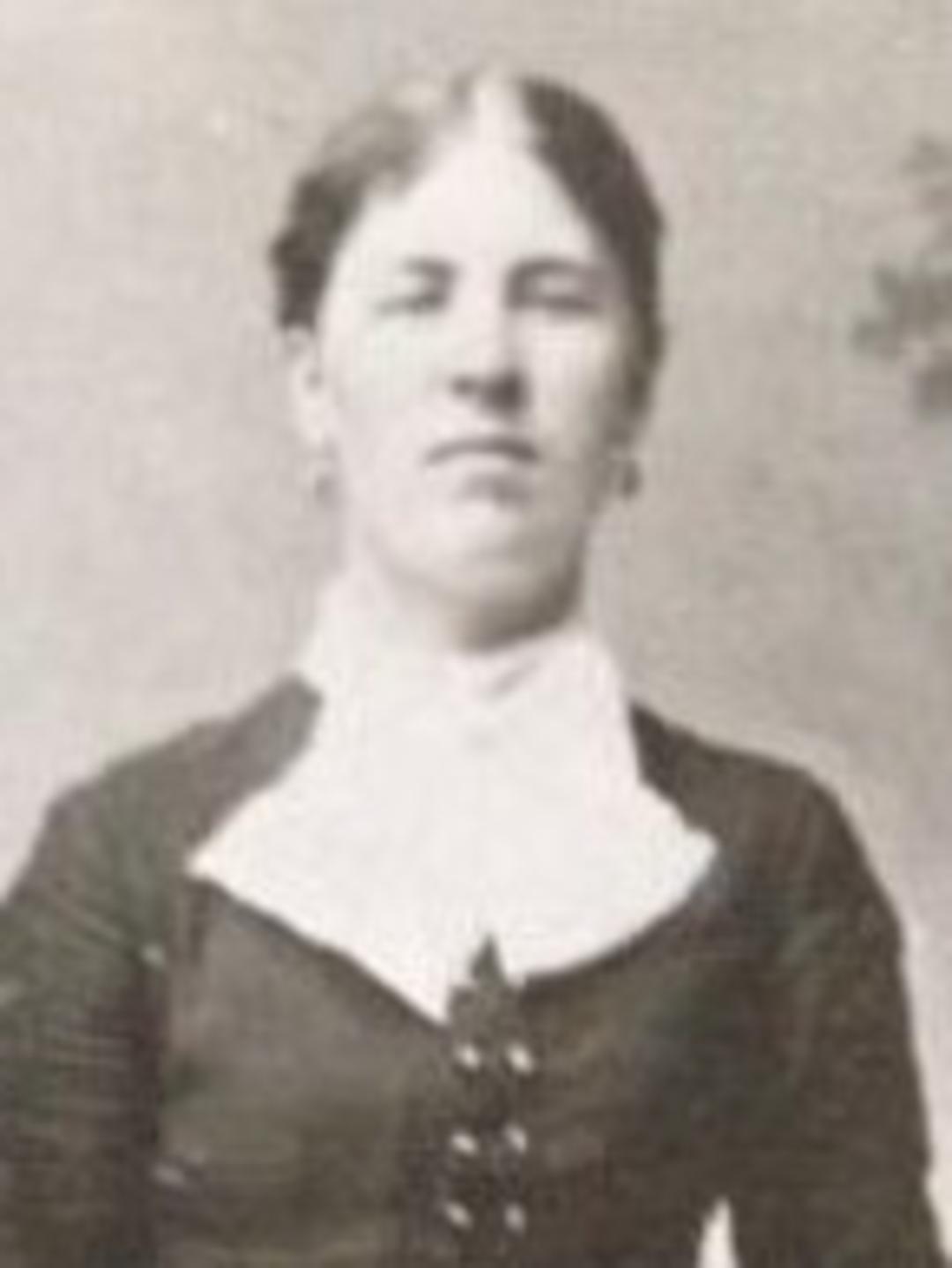 Olivia Sophia Johnson (1862 - 1942) Profile